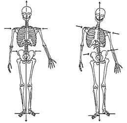 atlas orthogonal